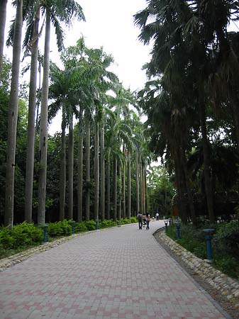 Botanischer Garten - Taiwan (Taipeh)