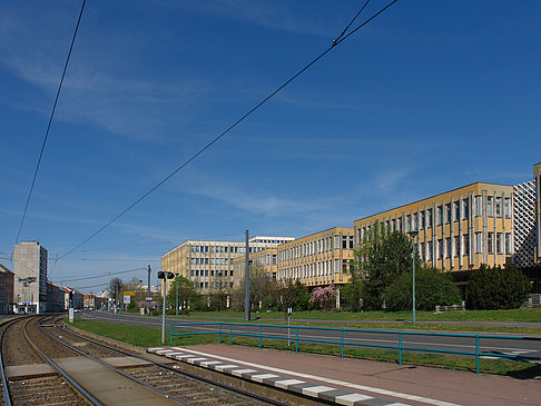 Fachhochschule - Brandenburg (Potsdam)