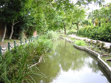 Botanischer Garten - Taiwan (Taipeh)