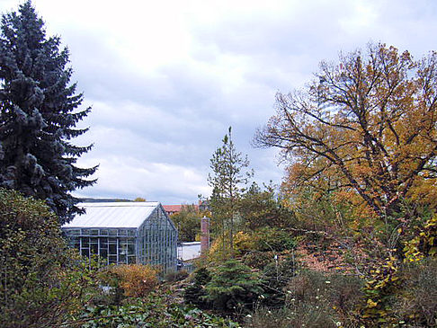 Fotos Botanischer Garten